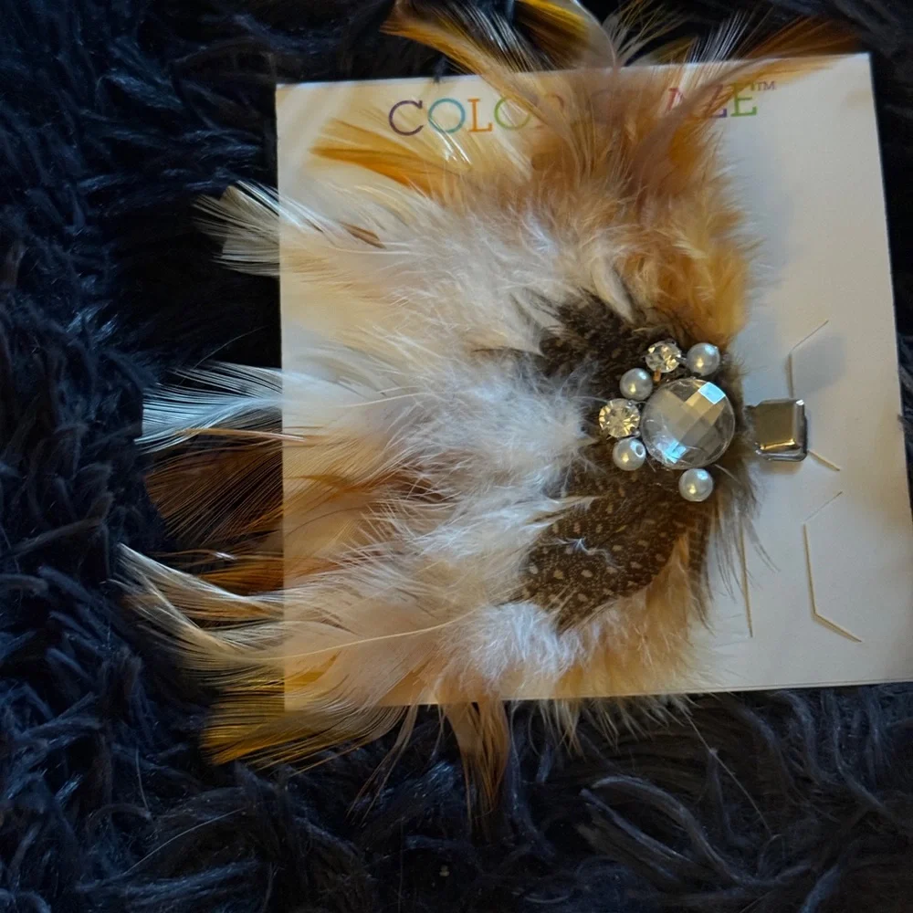 Feathered Hair Clip with Gem Accents